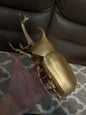 Huge Golden Japanese rhino beetle PVC Model FIgure Figurine 30cm