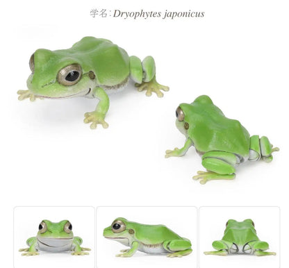 Japan Q Green Tree Frog PVC Action Figure model with 9 joints, Color A