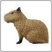 Japan Retired Animals of Amazon Capybara animal PVC mini figure figurine Model