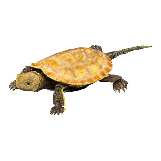 Bandai Japanese Pond Turtle (yellow) animal PVC Action Figure model with 20 joints