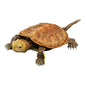 Bandai Japanese Pond Turtle (orange) animal PVC Action Figure model with 20 joints