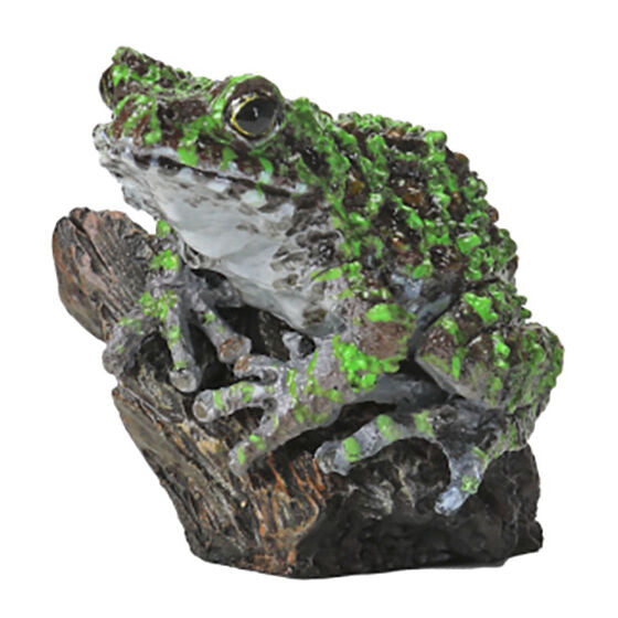 Japan Bandai Ishikawa's frog (Odorrana ishikawae) PVC figurine figure model with stand