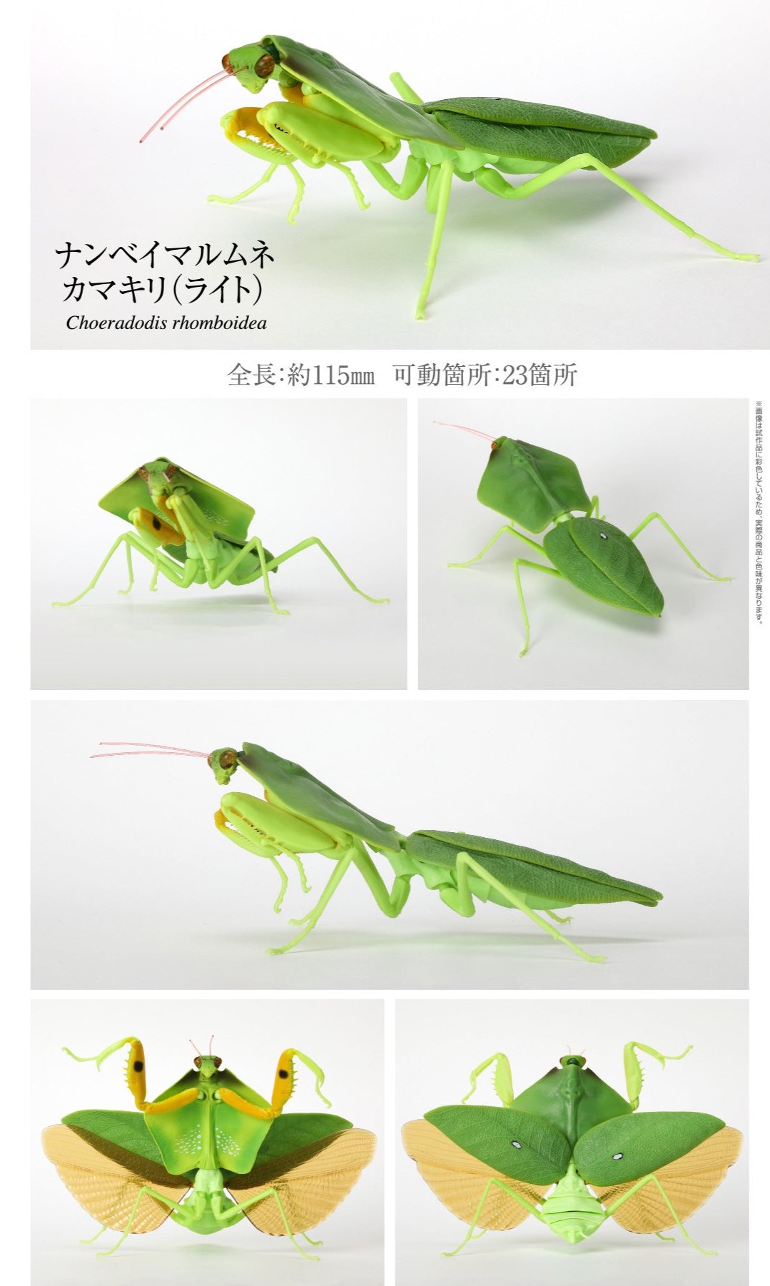 Japan Tropical shield mantis insect PVC Action Figure Model with joints