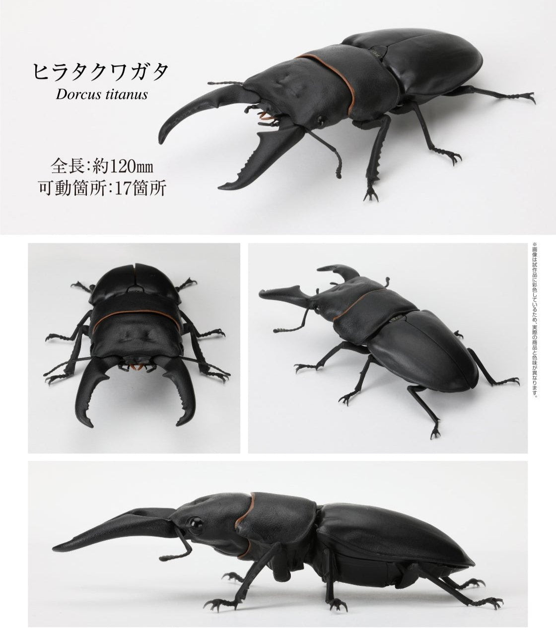 Dorcus titanus Giant Stag Beetle PVC Action Figure model with joints