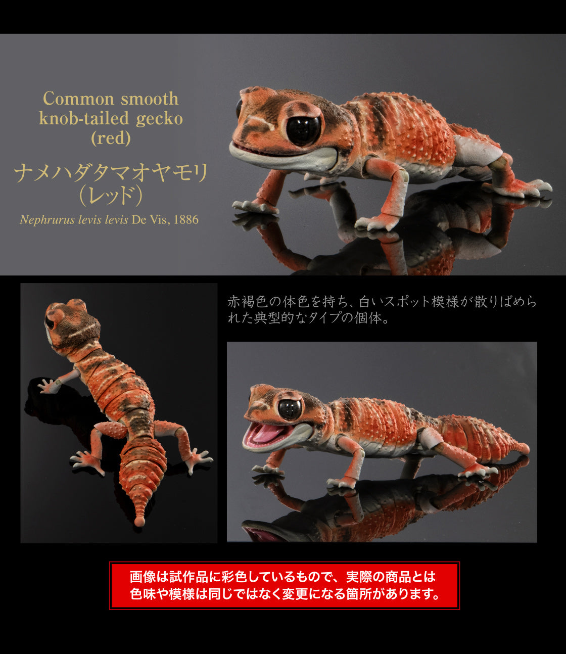 Japan Common smooth knob-tailed gecko (red) lizard PVC Action Figure model with 24 joints