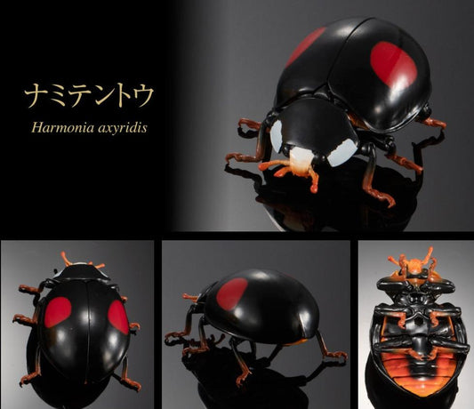 Asian Lady Beetle Harmonia axyridis insect PVC Action Figure model with joints