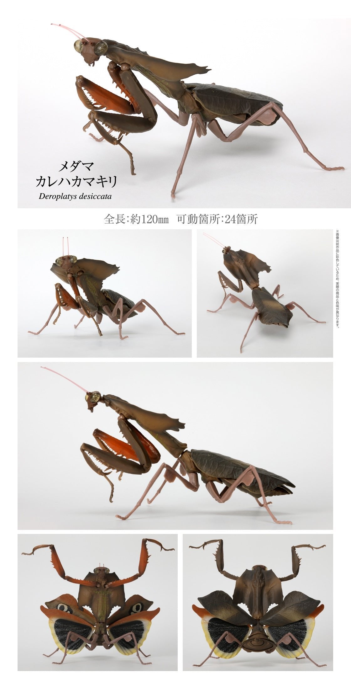 Japan giant dead leaf mantis insect PVC Action Figure Model with joints