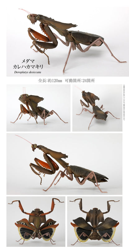 Japan giant dead leaf mantis insect PVC Action Figure Model with joints