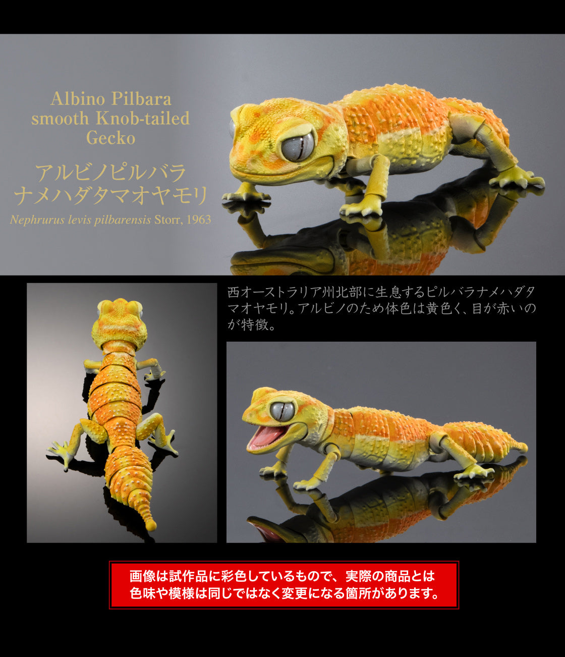 Japan Albino Pilbara smooth Knob-tailed Gecko lizard PVC Action Figure model with 24 joints