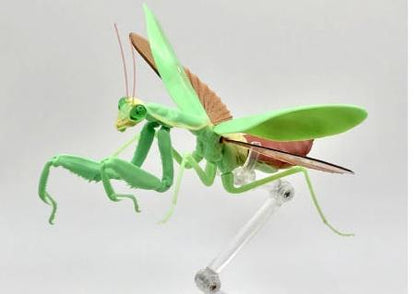 Japan Green Giant Asian mantis adult insect PVC Action Figure Model with joints