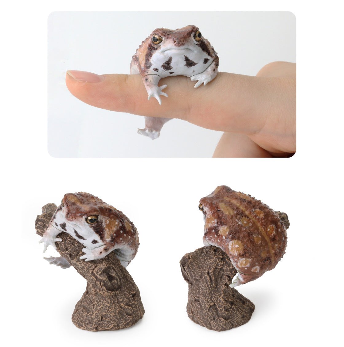 Bushveld rain frog Toad PVC mini figurine figure model ring with stand