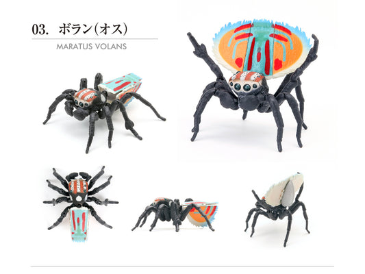 MARATUS VOLANS peacock jumping spider PVC Action Figure model w joints