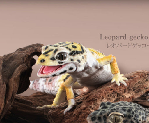 Japan High Yellow Leopard gecko lizard PVC Action Figure model with joints (18cm)