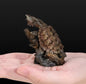 Japan Mata Mata Turtle Tortoise PVC Mini Model Figurine Figure with stand