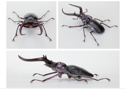 Sphaenognathus Feisthameli Stag Beetle insect PVC Action Figure model 12 joints