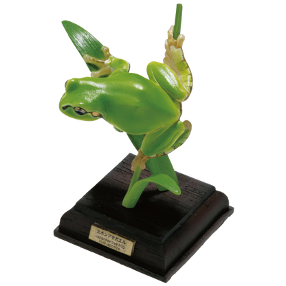 Kitan Club Nature Techni Color Japanese Tree Frog PVC mini capsule figure model figurine with base