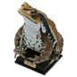 Kitan Club Nature Techni Color Japanese common toad Frog PVC mini capsule figure model figurine with base