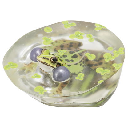 Kitan Club Nature Techni Color Tokyo daruma pond frog PVC mini capsule figure model figurine with base SP item