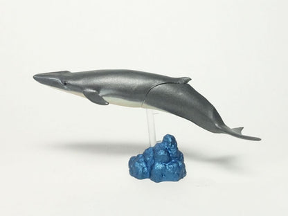 Retired Japan Kaiyodo Bryde's whale PVC mini figure figurine Model
