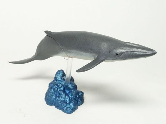Retired Japan Kaiyodo Bryde's whale PVC mini figure figurine Model