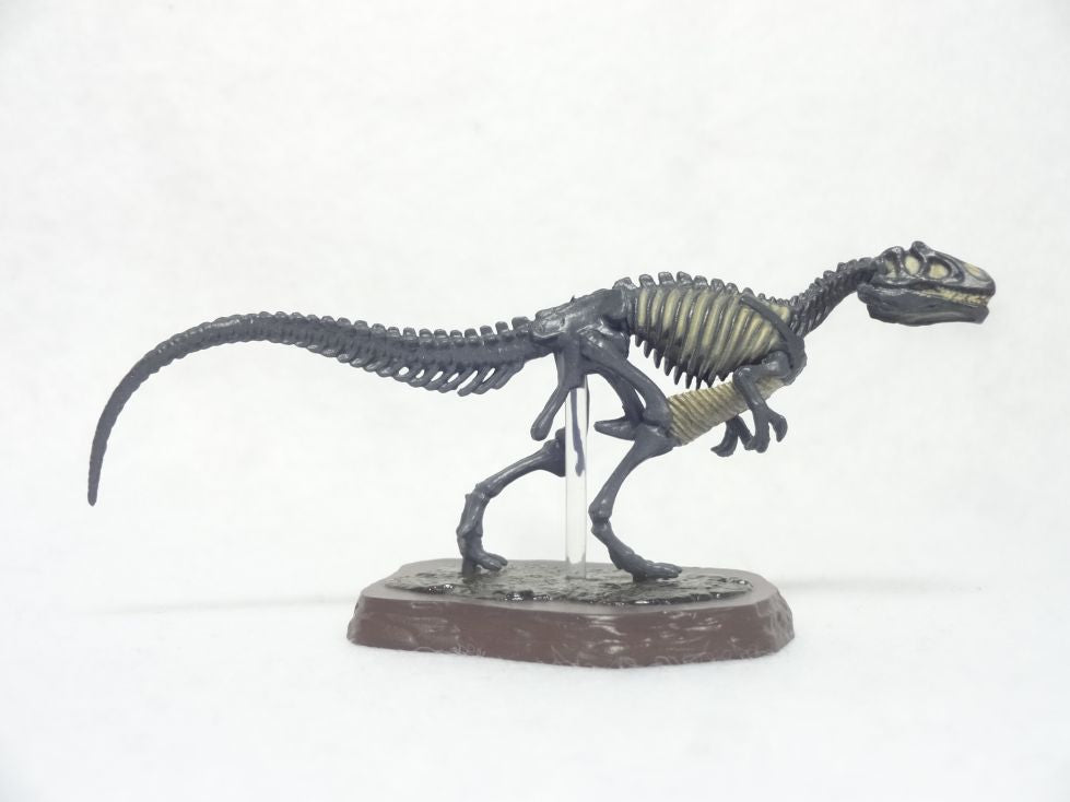 Retired Kaiyodo Choco Q Fossil Allosaurus Skeleton (2018) Dinosaur PVC mini figure model RARE