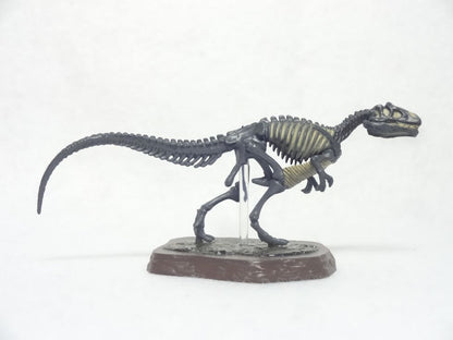 Retired Kaiyodo Choco Q Fossil Allosaurus Skeleton (2018) Dinosaur PVC mini figure model RARE