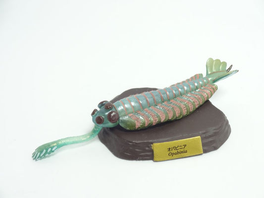 Retired Kaiyodo Choco Q Opabinia Worm Dinosaur PVC mini figure model RARE