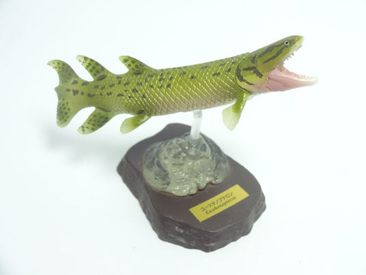 Retired Kaiyodo Choco Q Eusthenopteron Fish Dinosaur PVC mini figure model RARE