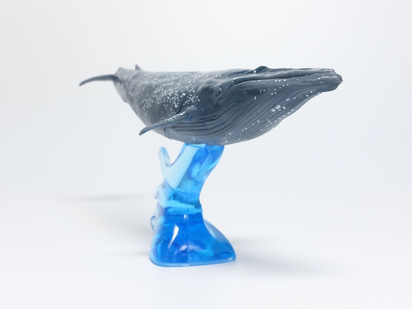 Japan Blue Whale PVC mini capsule figure model figurine with base