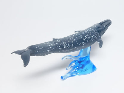 Japan Blue Whale PVC mini capsule figure model figurine with base