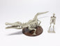 Toyotamaphimeia prehistoric Crocodile Skeleton Fossil PVC figurine figure model (Color B) 1/35