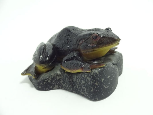 Retired Japan Kaiyodo Endangered Specie Goliath frog animal PVC Mini Model Figure