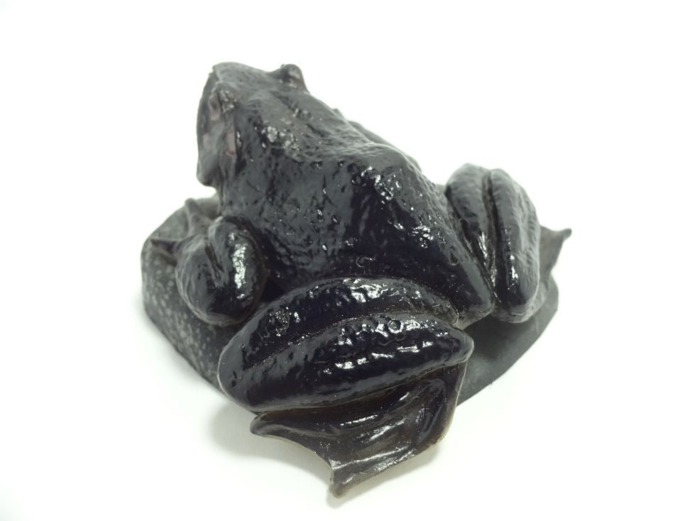 Retired Japan Kaiyodo Endangered Specie Goliath frog animal PVC Mini Model Figure