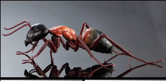 Camponotus obscuripes Ant Insect animal PVC Action Figure model with joints