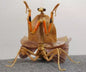 Southeast Asian dead leaf mantis Insect PVC Action Figure model with joints D