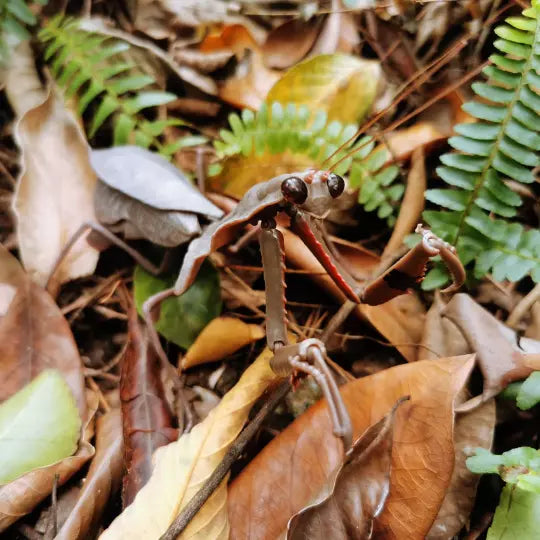 Southeast Asian dead leaf mantis Insect PVC Action Figure model with joints A