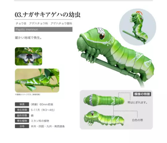 Great Mormon Butterfly Caterpillar PVC Action Figure Figurine Model C