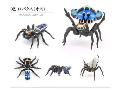 MARATUS LOBATUS coastal peacock jumping spider PVC Action Figure model w joints