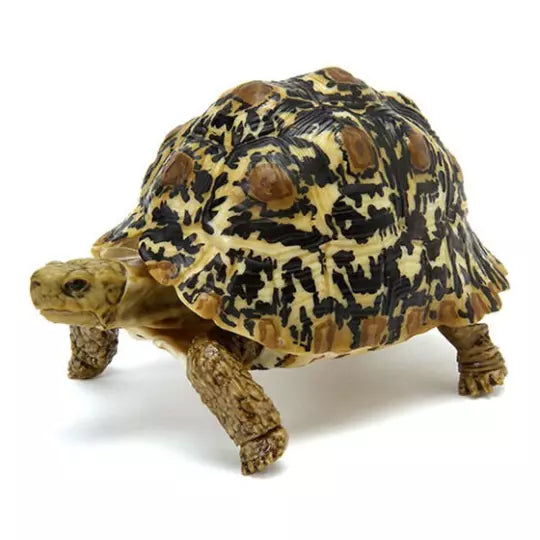 Adult Dark Leopard Tortoise Turtle animal PVC Action Figure model with joints