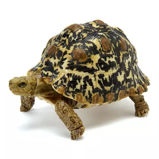 Adult Dark Leopard Tortoise Turtle animal PVC Action Figure model with joints