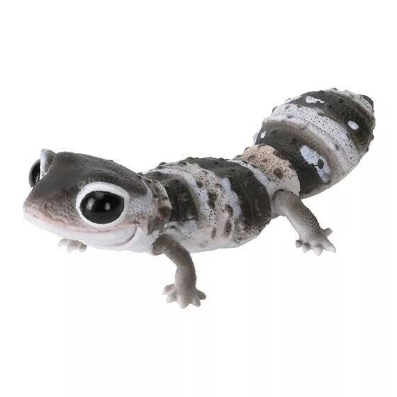 Japan Q Fat-Tailed gecko lizard PVC Action Figure model with joints (10cm) B