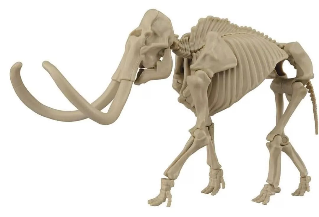 Japan mammoth elephant & skeleton PVC mini figure figurine model kit