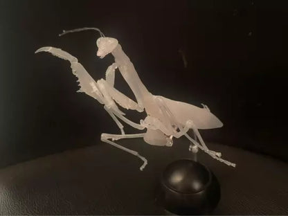 Chinese Mantis Insect PVC Action Figure model with joints (transparent color)