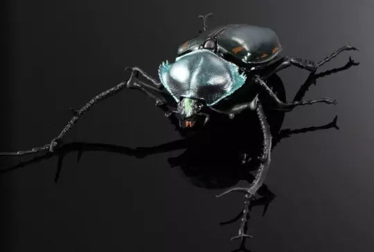 Giant Long-armed Scarab Beetle Insect PVC Action Figure model with joints