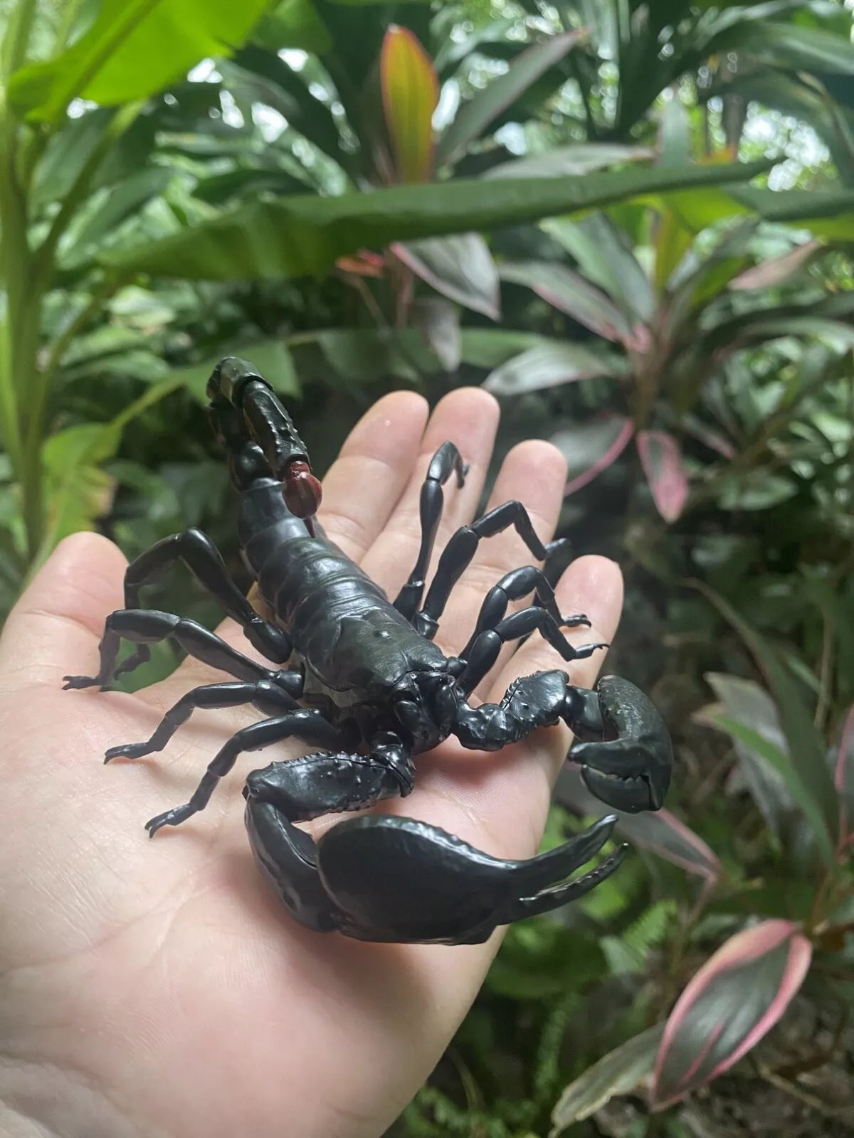 Emperor scorpion PVC Action Figure model with 35 joints (17cm)