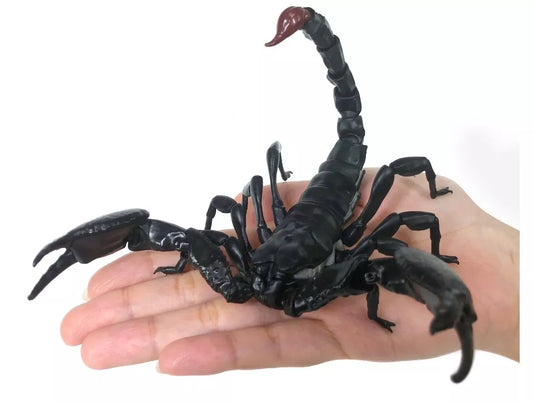 Emperor scorpion PVC Action Figure model with 35 joints (17cm)