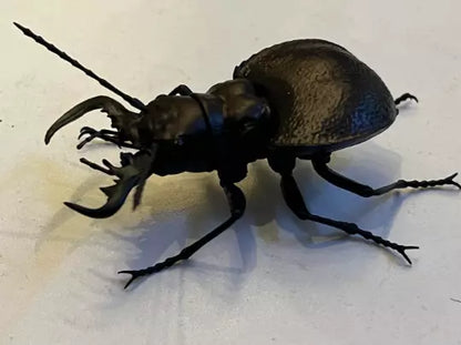 Manticora latipennis Giant Tiger Beetle PVC Action Figure model with joints