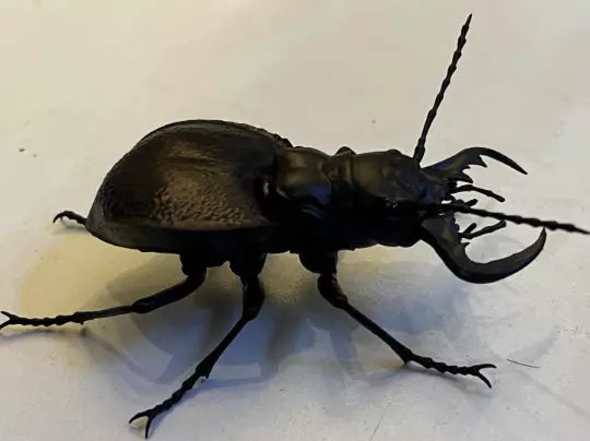 Manticora latipennis Giant Tiger Beetle PVC Action Figure model with joints