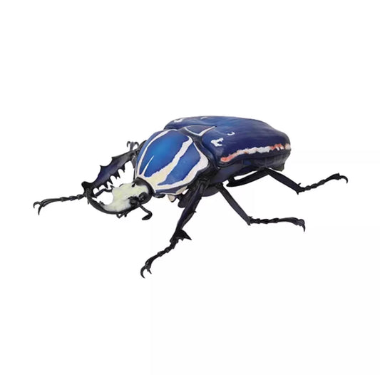 Mecynorhina Ugandensis Giant African Beetle Insect PVC Action Figure model A