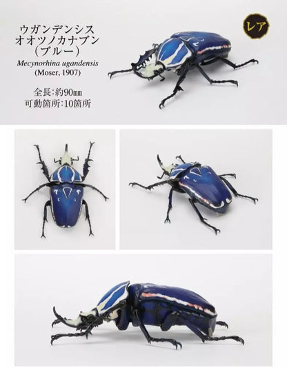 Mecynorhina Ugandensis Giant African Beetle Insect PVC Action Figure model A